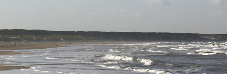 Kemper Interimmanagement en advies